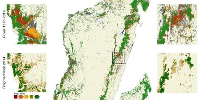 Map of Madagascar deforestation