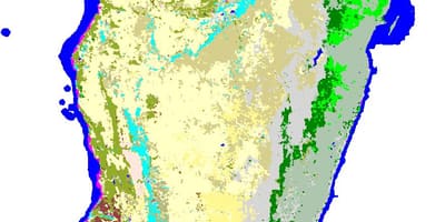 Map of Madagascar vegetation